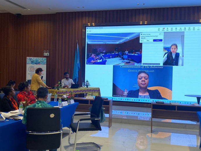 The Bahamas’ virtual participation in the LDCs/SIDS Pacific Regional Workshop