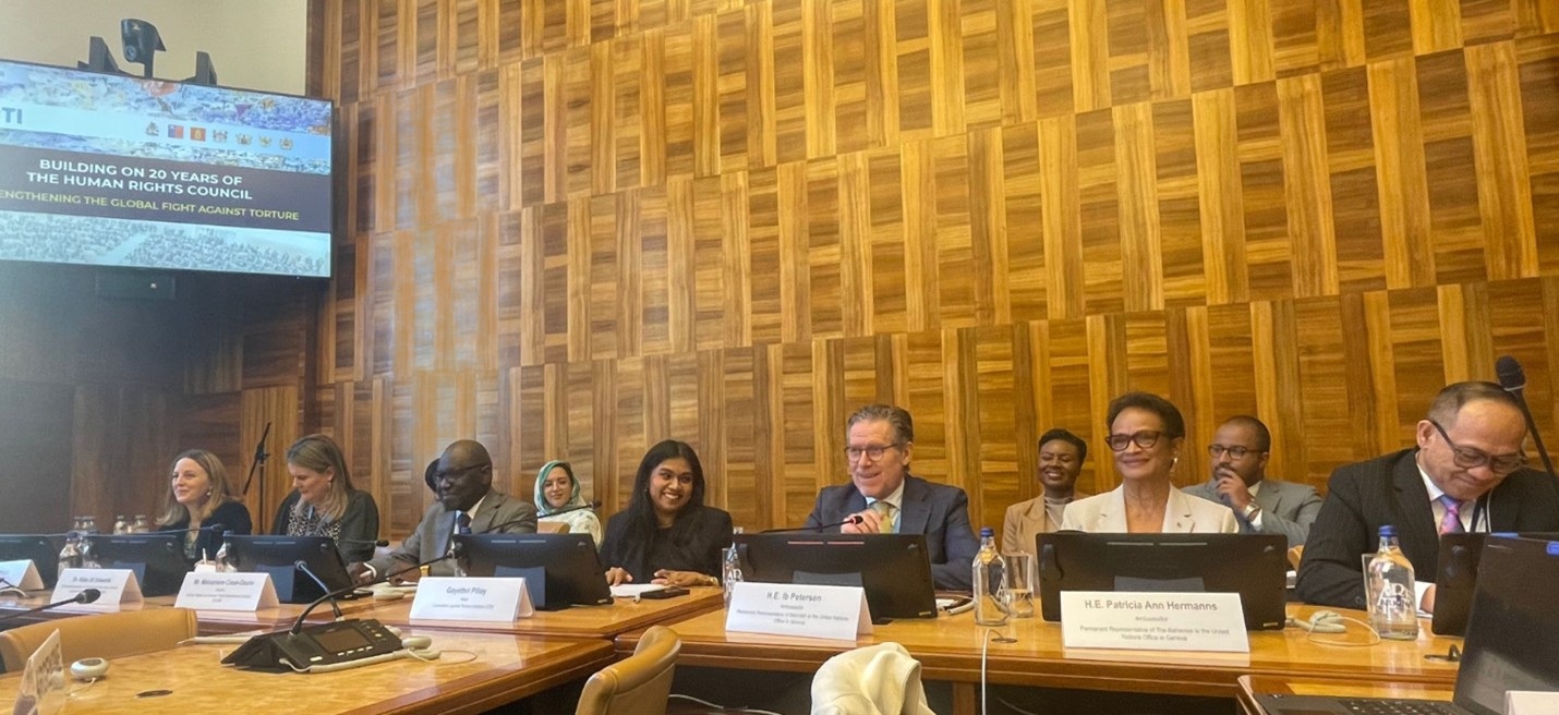 Reflections on 20 Years of the Human Rights Council: Strengthening the Global Fight Against Torture