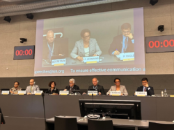 Ambassador Hermanns speaking on a panel alongside other panelists, addressing tax-related illicit financial flows (IFFs) and the Right to Development.