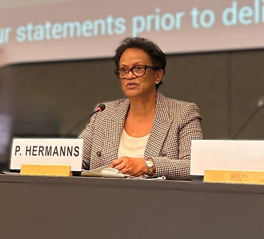 Tax-Related Illicit Financial Flows and Right to Development