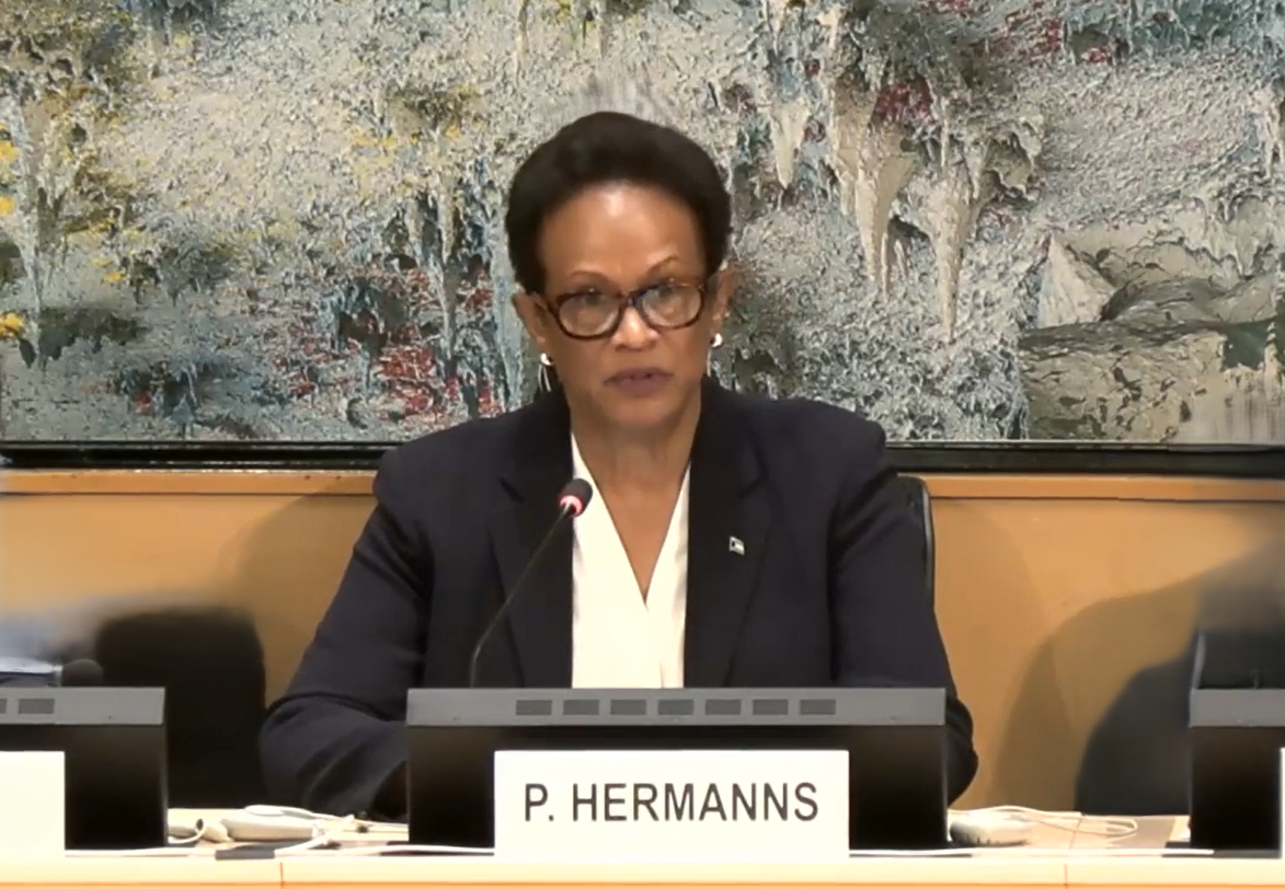 Ambassador Hermans during the 62nd Session of the Human Rights Council